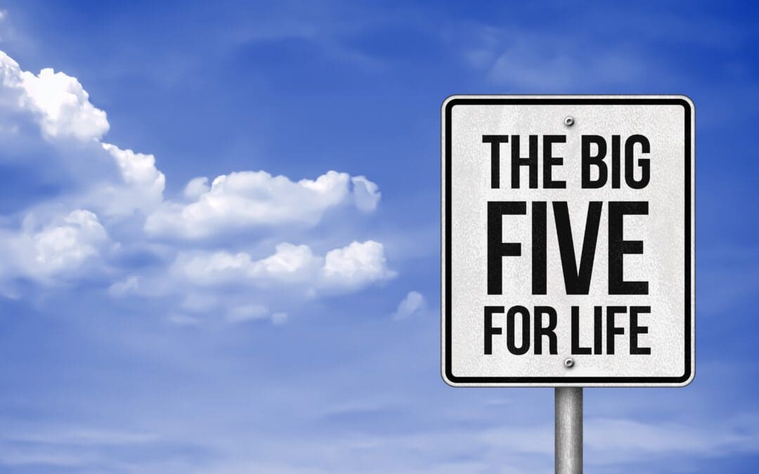 Personas and the Big Five model